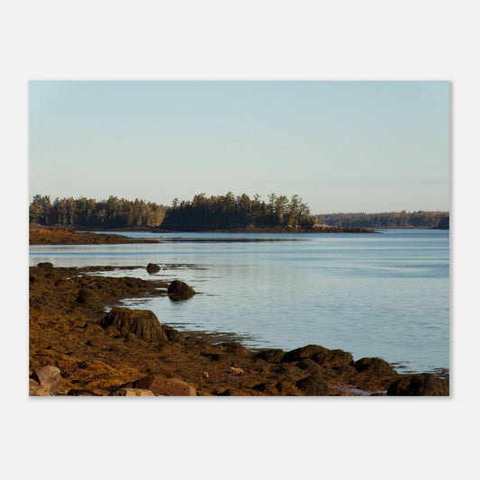 429d338e-df98-44f6-816a-e15397a43d43