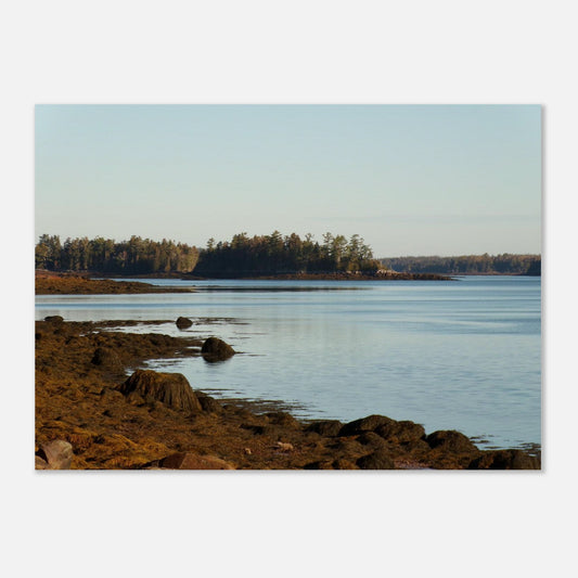 7df40a75-787e-4c03-8e65-8e56d0b92530