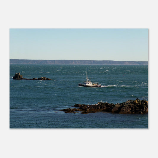 82ab9982-17eb-47b8-b442-0d59a17c4e1c